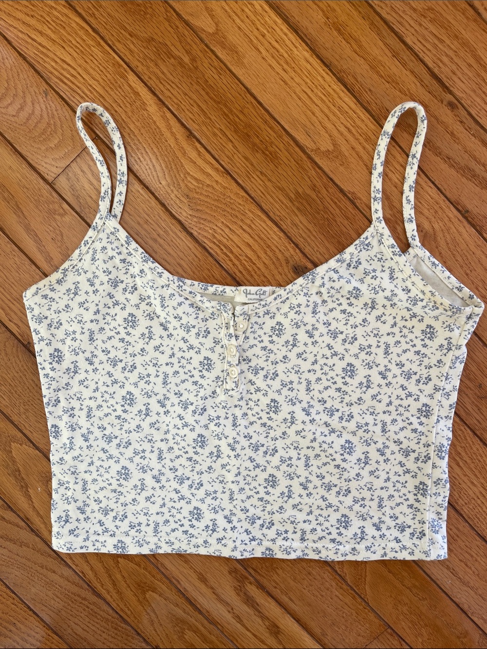 John Galt / Brandy Melville White and Blue Floral Print Crop Top size OS